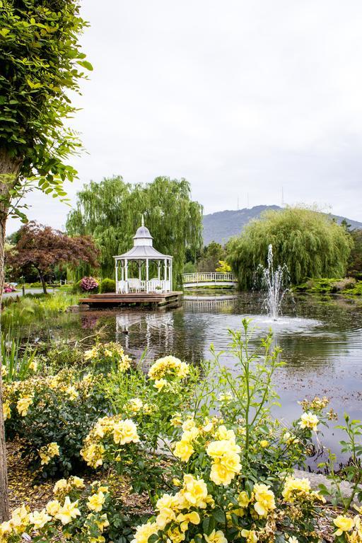 Lakeside Cottage Luxury B&B Mount Dandenong Eksteriør billede