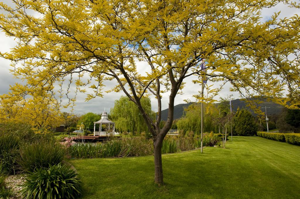 Lakeside Cottage Luxury B&B Mount Dandenong Eksteriør billede