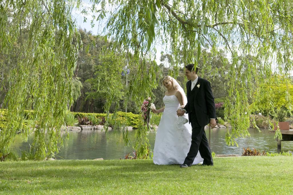 Lakeside Cottage Luxury B&B Mount Dandenong Eksteriør billede