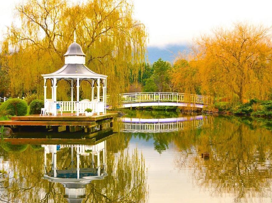 Lakeside Cottage Luxury B&B Mount Dandenong Eksteriør billede