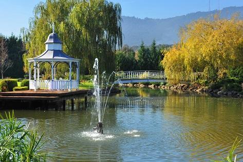 Lakeside Cottage Luxury B&B Mount Dandenong Eksteriør billede